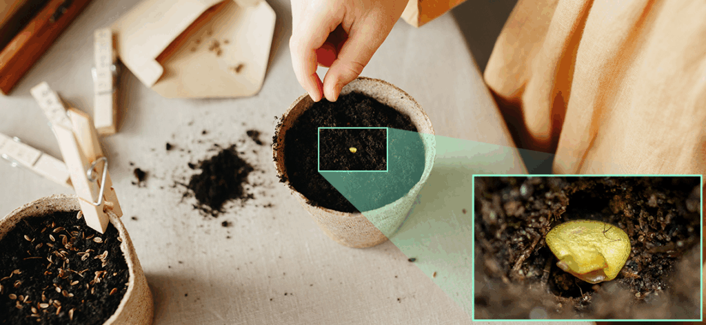 Camera vật thể F17+ tích hợp độ phân giải 4K chất lượng cao